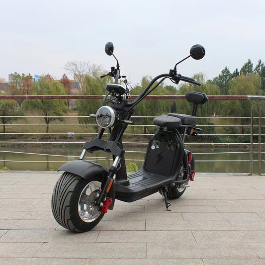 EEC- Zweirad Elektrischer Scooter Modell M11 (45km/h)